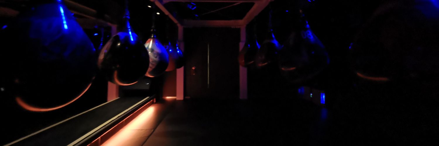 nihonzine's profile banner image