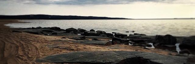 Tom Fullerton banner