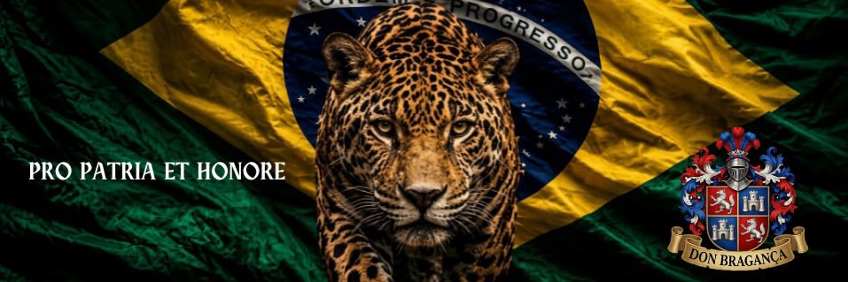 Don Bragança 🟨⬜️⬛️🐆 banner