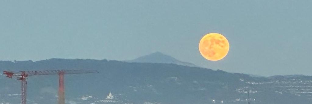 Dylan Hirsch-Shell 🧢🔰🗳️ banner