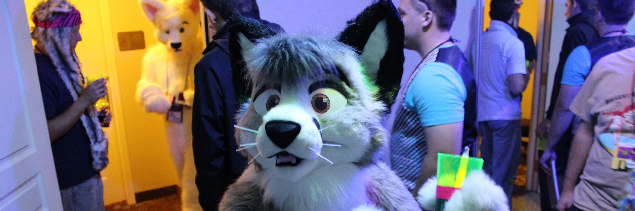 VittyFox's profile banner image