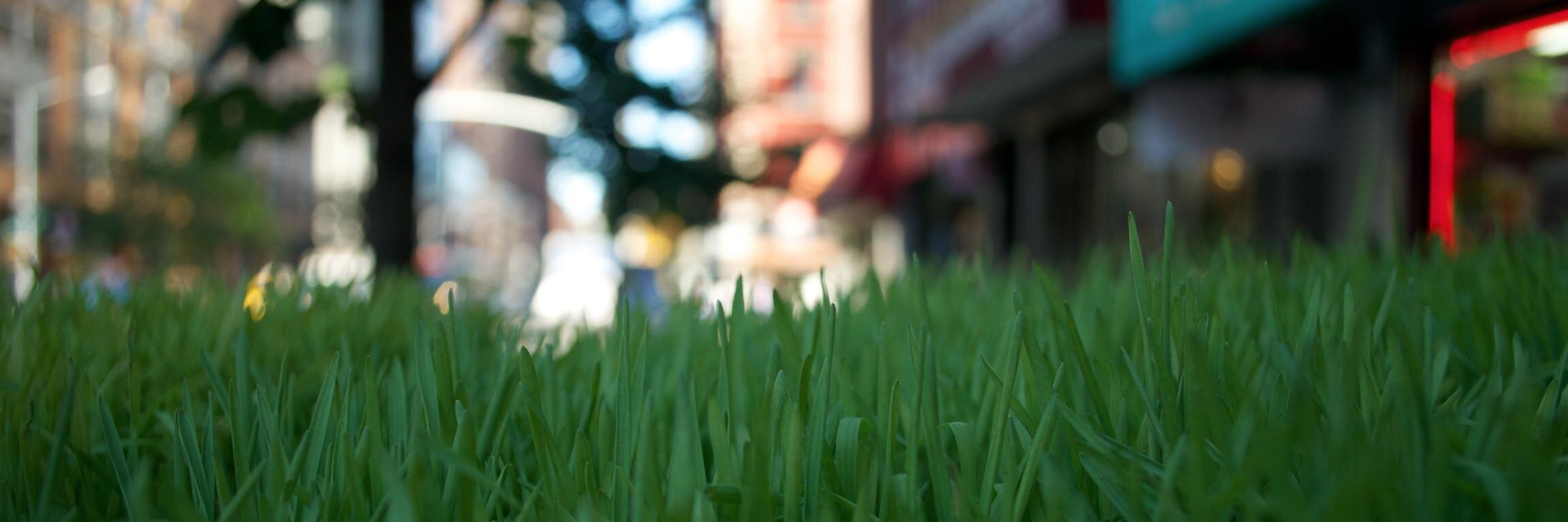 Nicklas Ansman banner