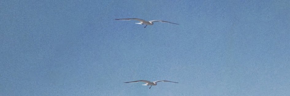 swiftieee97's profile banner image
