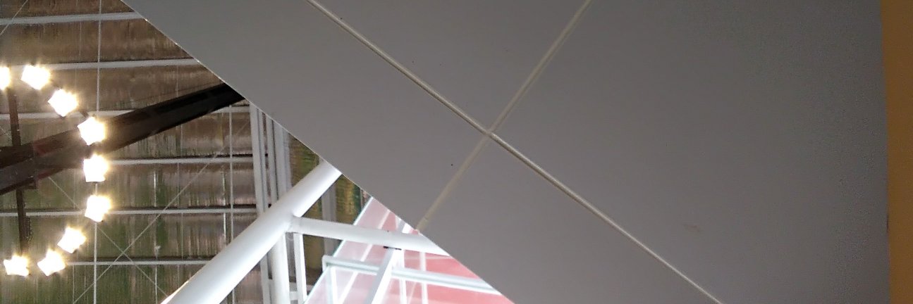 widuri716's profile banner image
