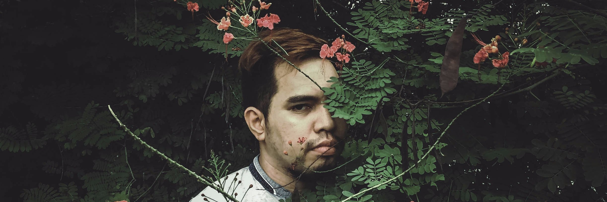 clover-jinx // midsommar soul banner