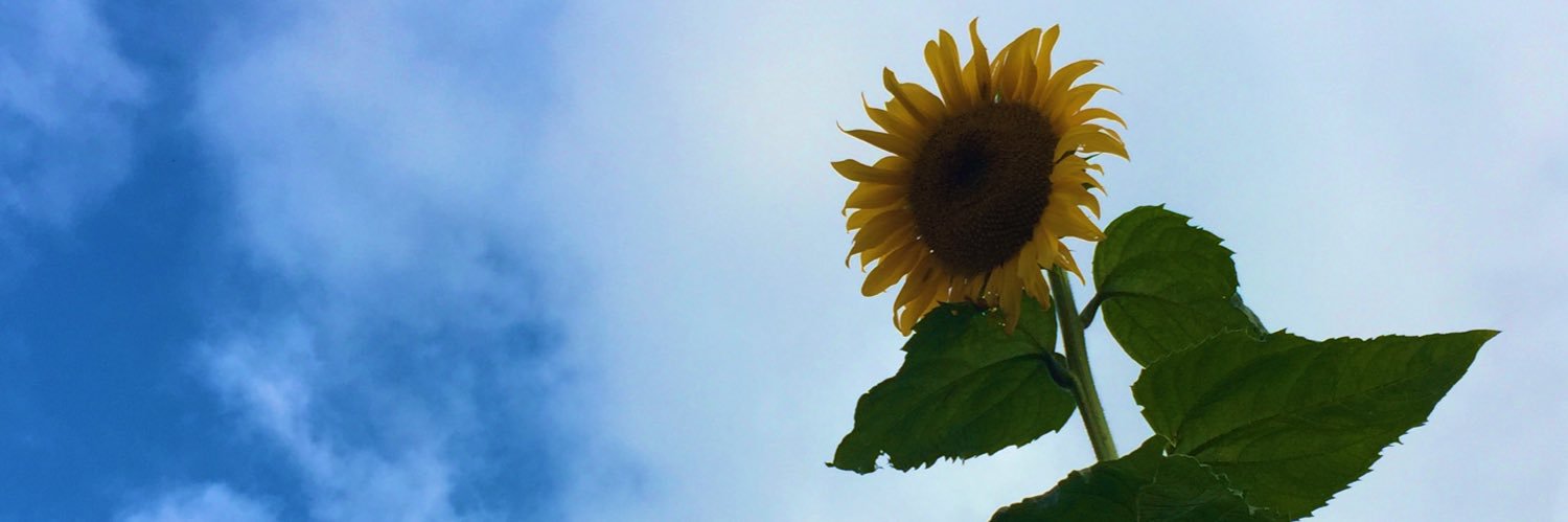 FernyB's profile banner image