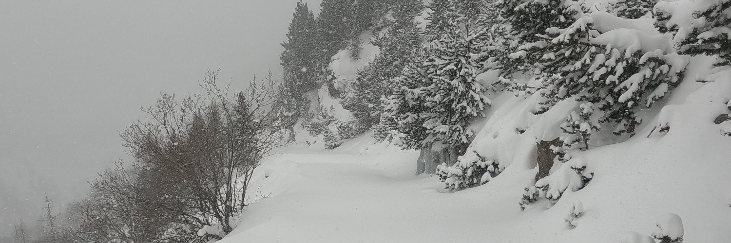 César Sánchez banner