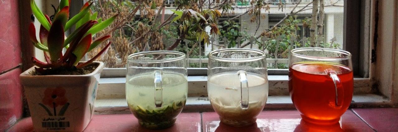 Azadeh 🇮🇹🇦🇷 banner