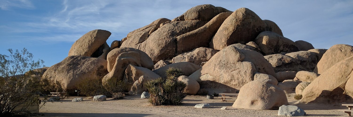 Joshua Tree banner