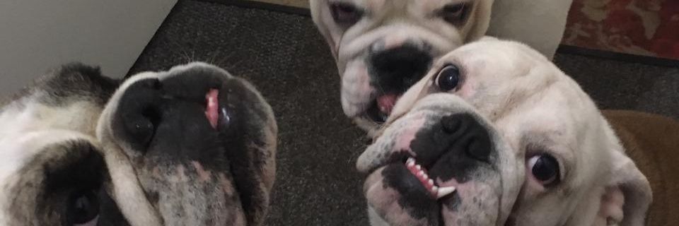 andrewaks's profile banner image