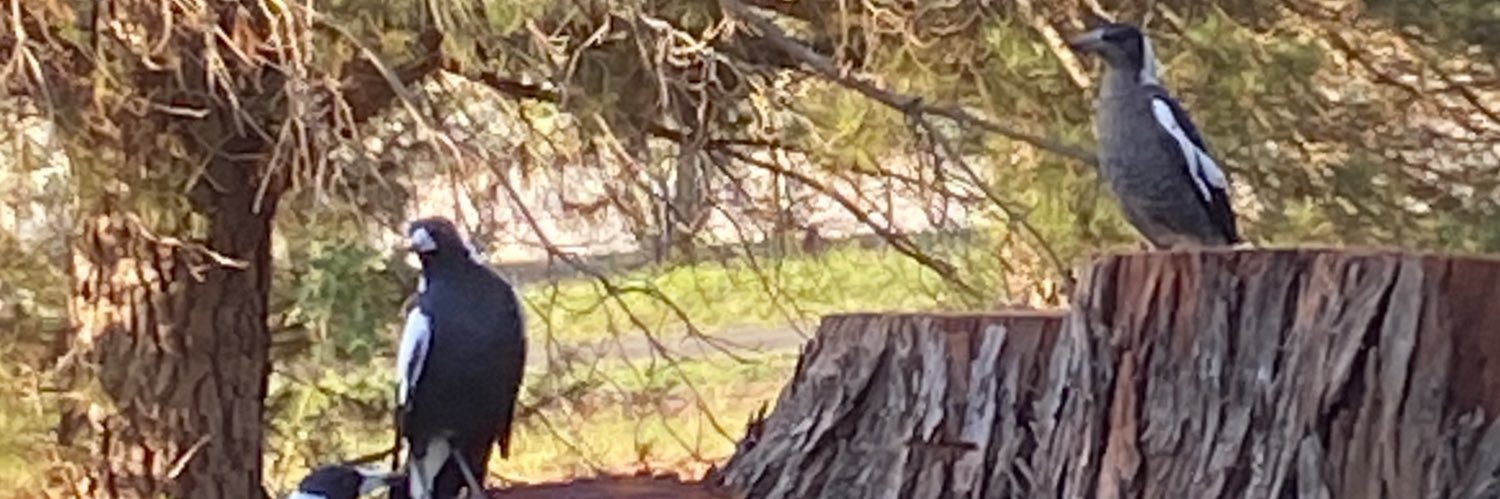 murrumbateman's profile banner image