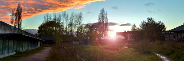 WildflowerNWC Profile Banner