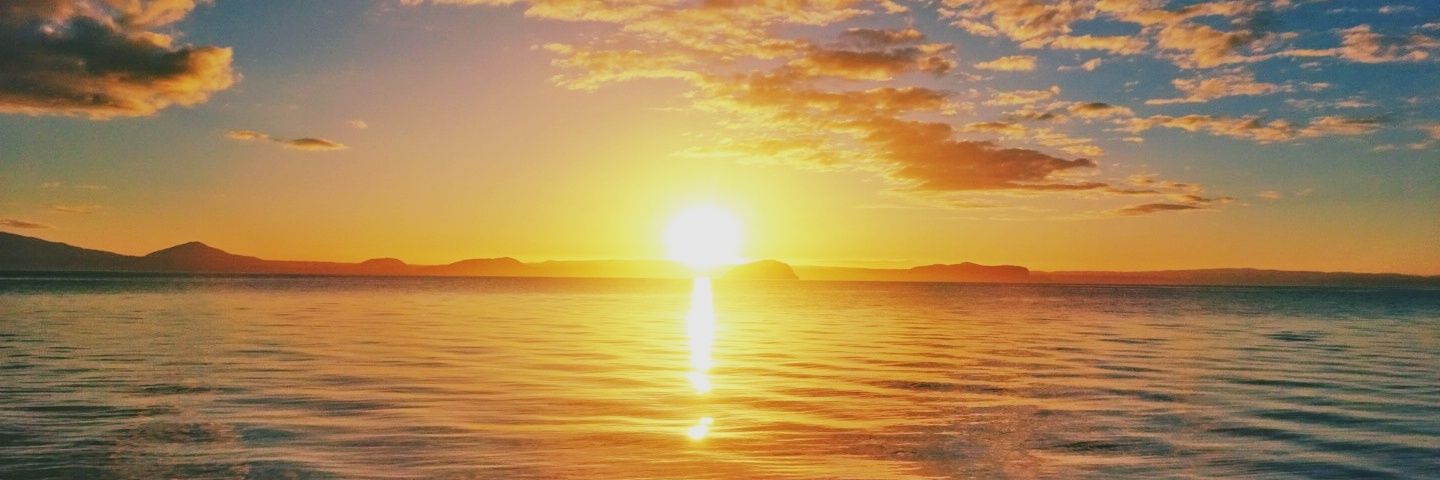 AnnaGarton's profile banner image
