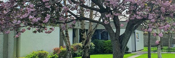 KerryLibrary Profile Banner