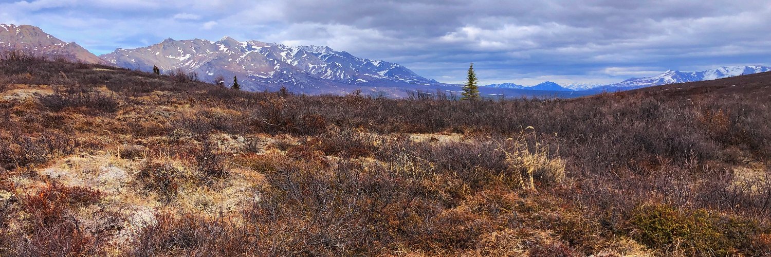 Sharon Stiteler 🐀 banner