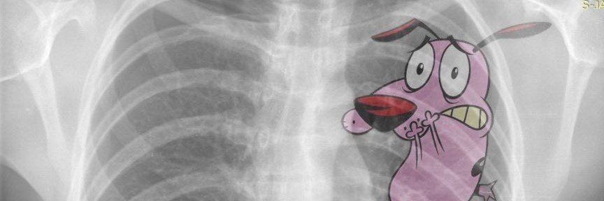 Singeoo's profile banner image
