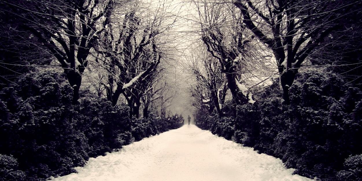 rod mulligan 🇵🇸 banner