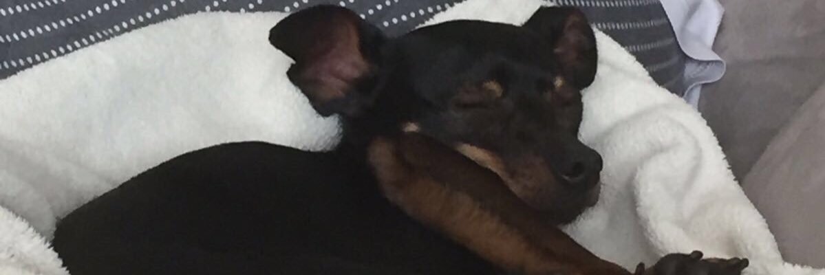 cricane's profile banner image