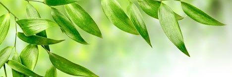 Dipishi's profile banner image