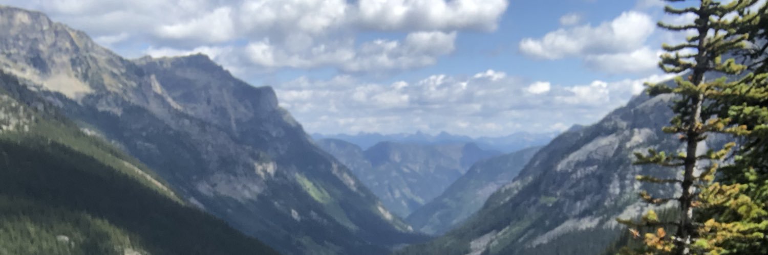 dmulet's profile banner image