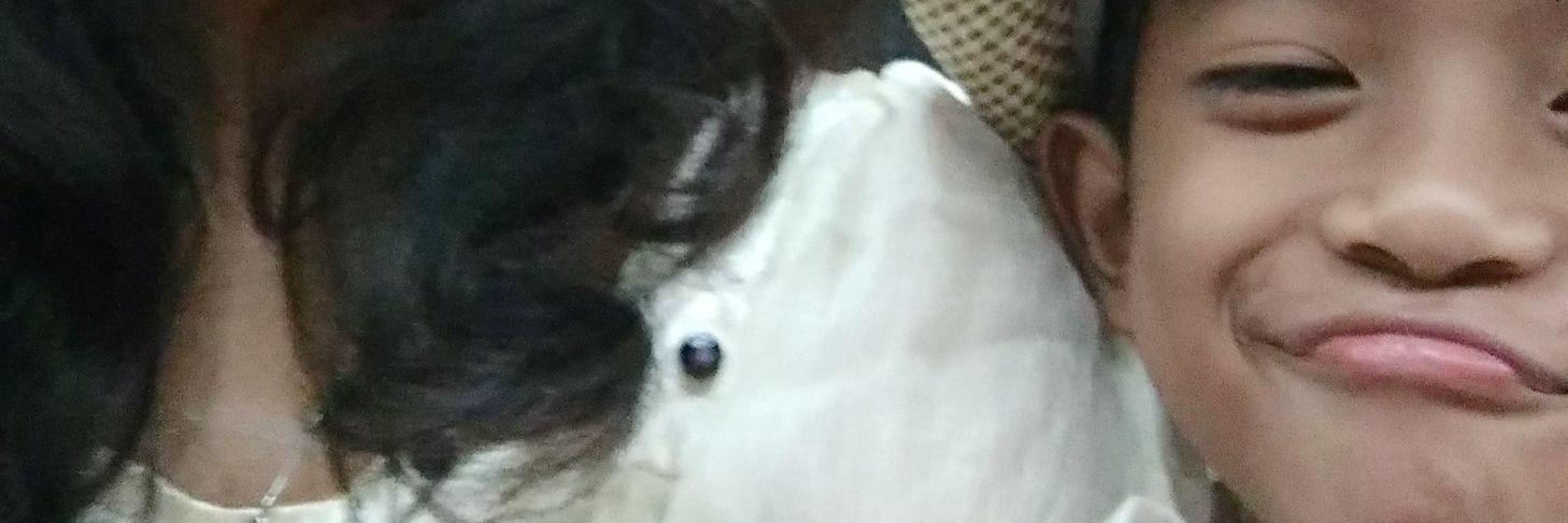 kania1877's profile banner image
