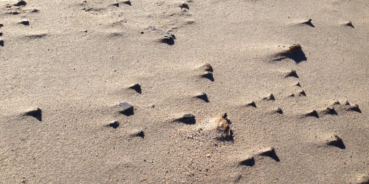 Antonio Peronace banner