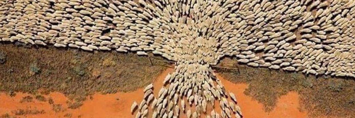 Murat Can Tonbil banner