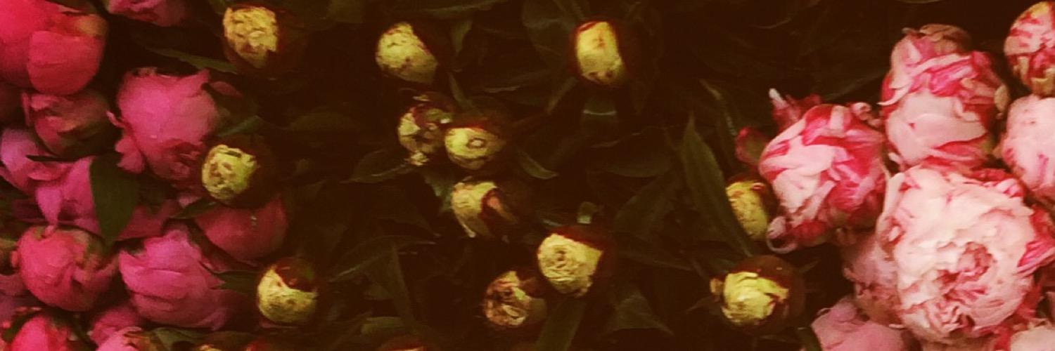 LyndsMarshall's profile banner image