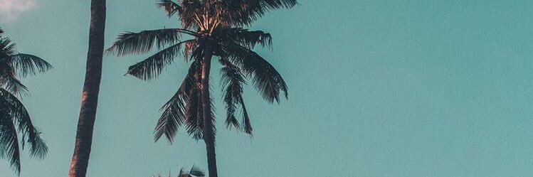 ErwinCo2's profile banner image
