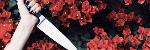 softtpieces's profile banner image