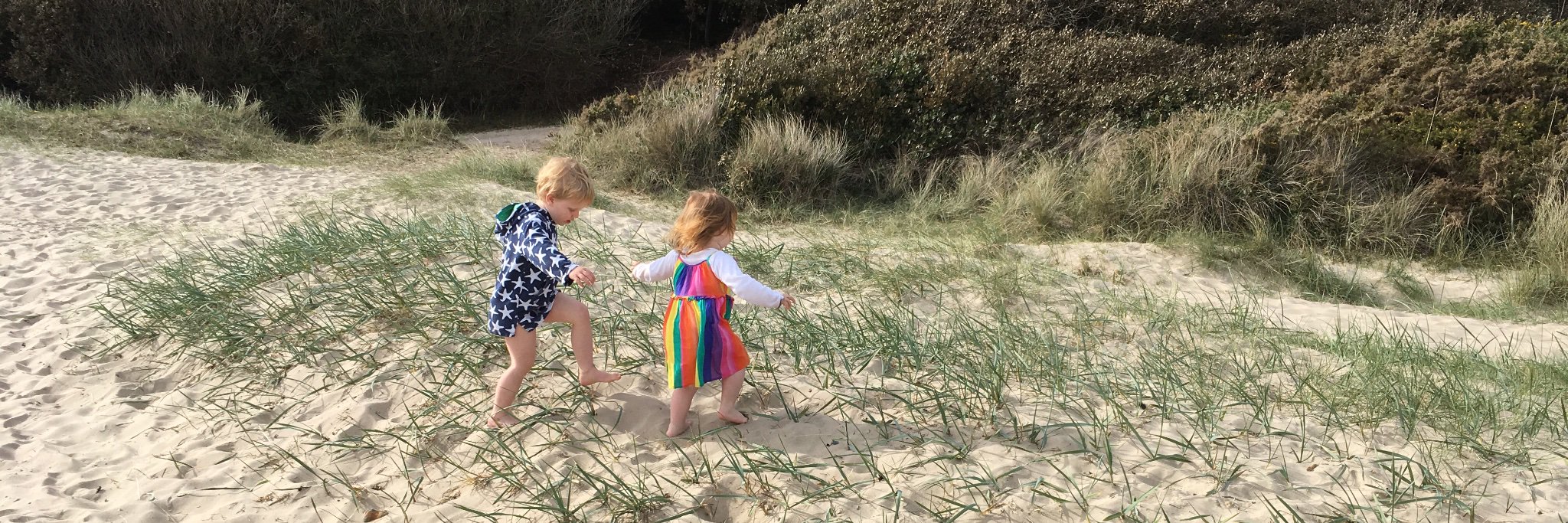 SarahBurb's profile banner image