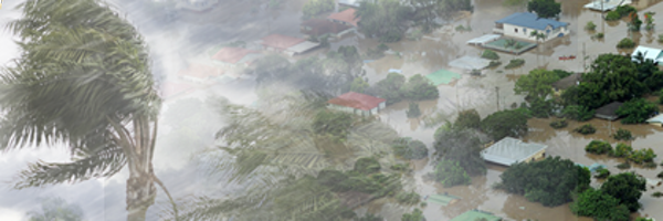 NODSAntigua Profile Banner