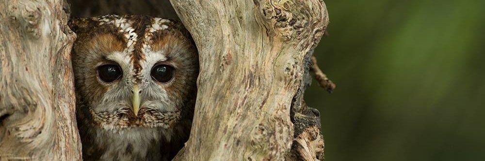 LondonCameraExchange banner