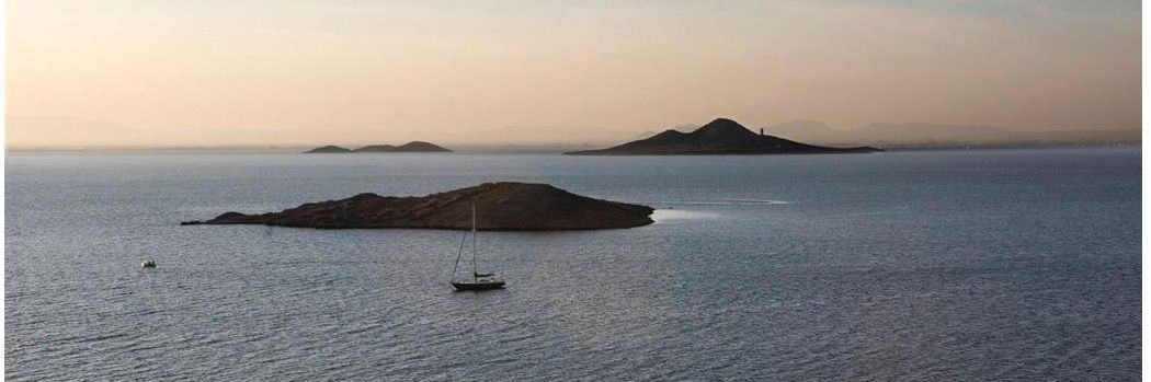 Tonny Serrano banner