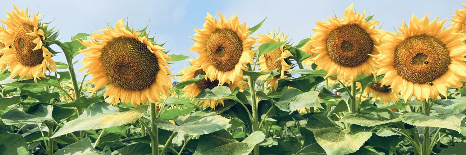 Leandra_Kate's profile banner image