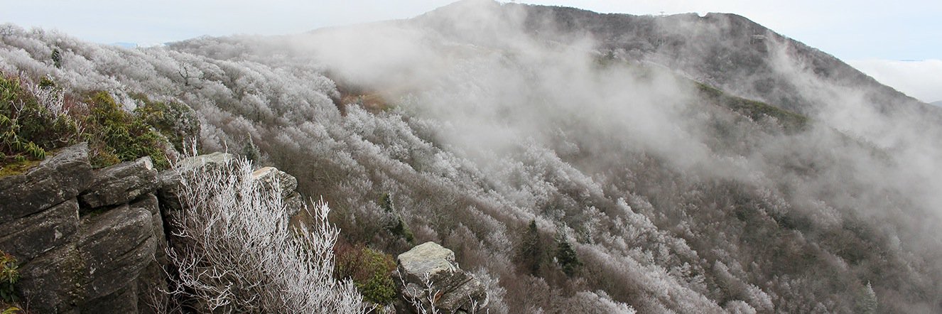 The Greeneville Sun banner