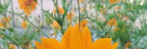 Daiana_bl's profile banner image