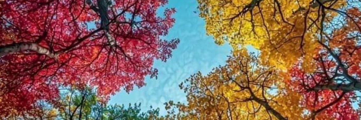 maja3008's profile banner image