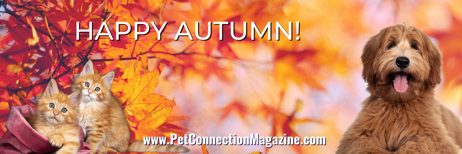 Pet Connection Magazine banner