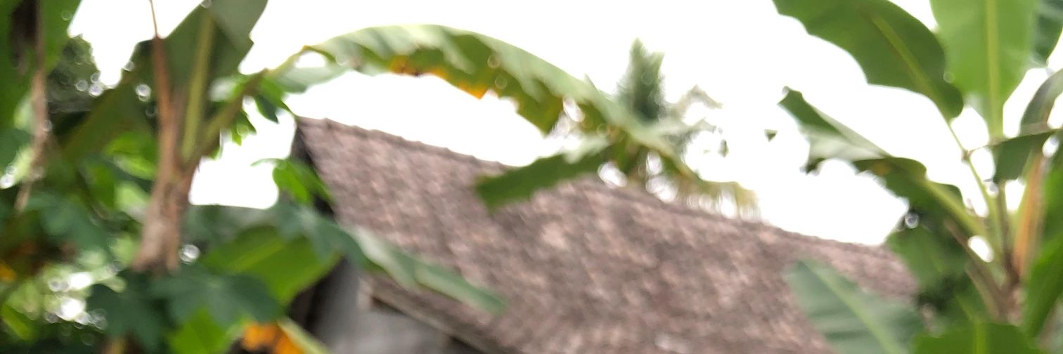 timunto's profile banner image