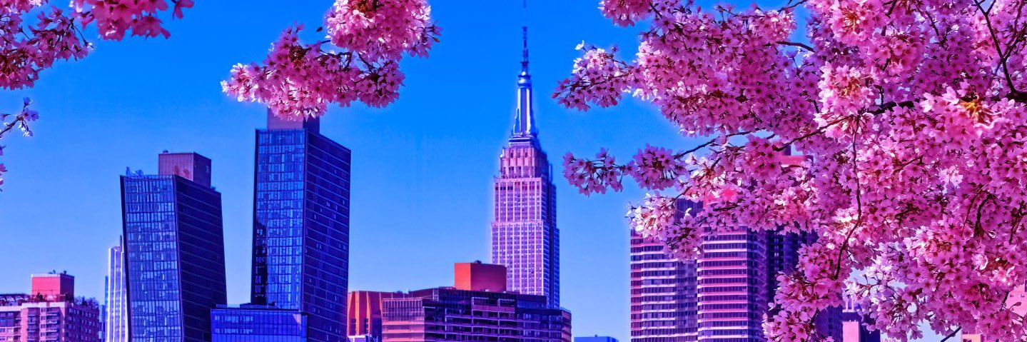 HannahWhitty's profile banner image