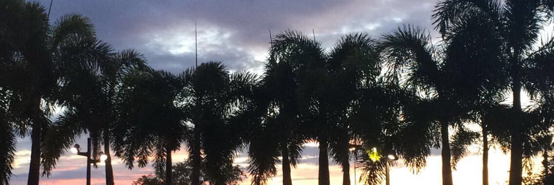 kacisheehan's profile banner image