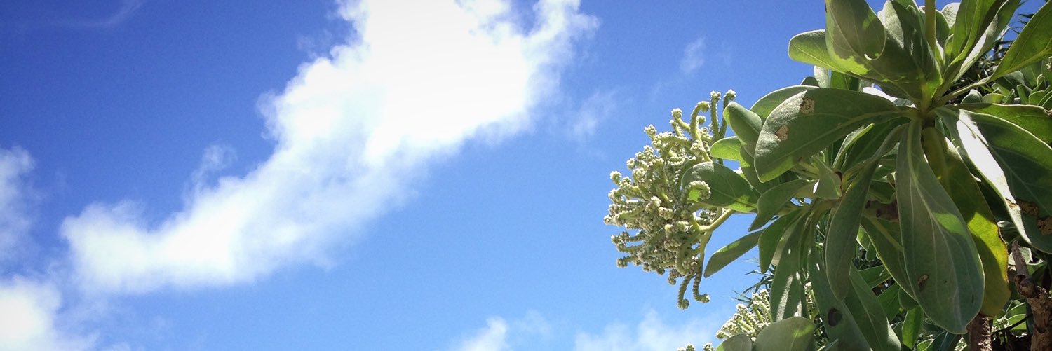 mikun_nu's profile banner image