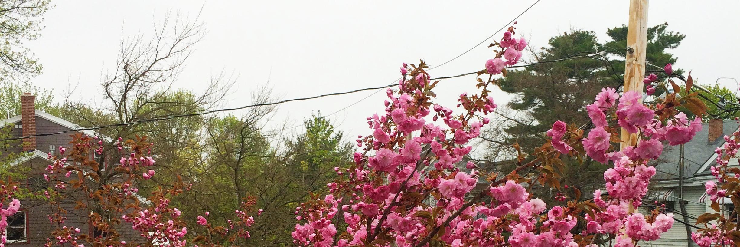 ursamajor's profile banner image