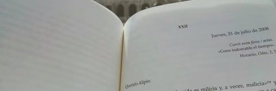 AlbaLobillo's profile banner image