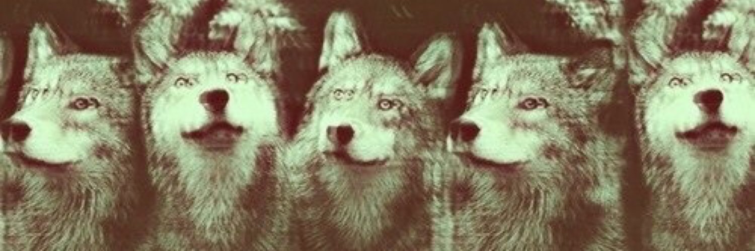 enoch11's profile banner image