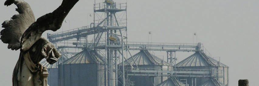 bachecaangel's profile banner image