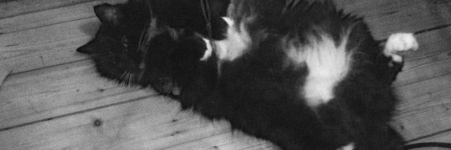 Nooenz's profile banner image
