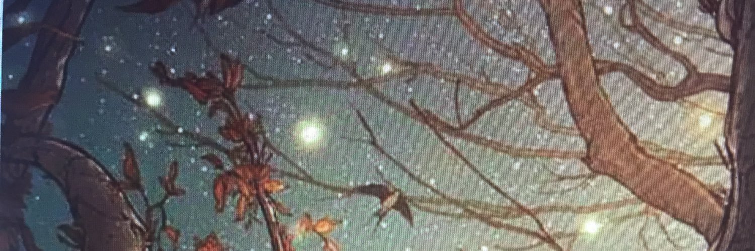 BeckyPedigo's profile banner image