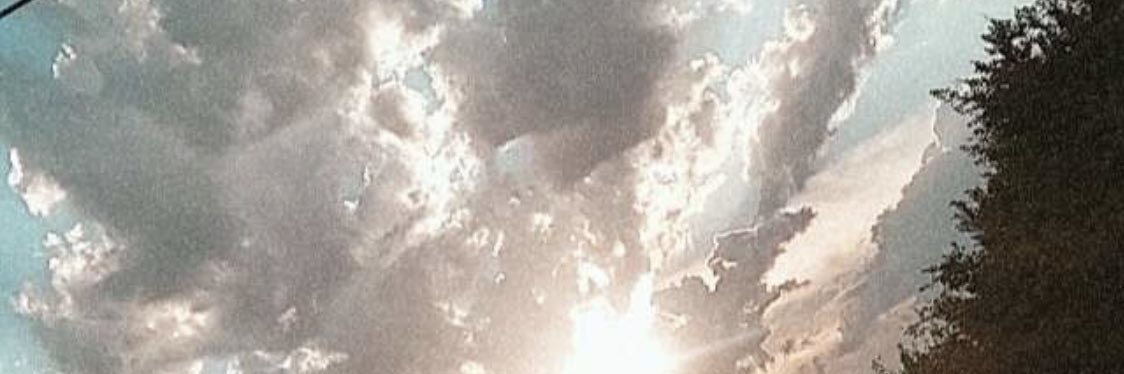 Adrienne1001's profile banner image